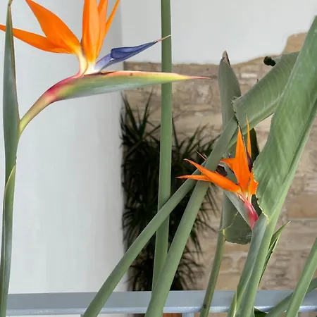 Appartement Casa Nuna Modern Loft With Private Garden Terrace